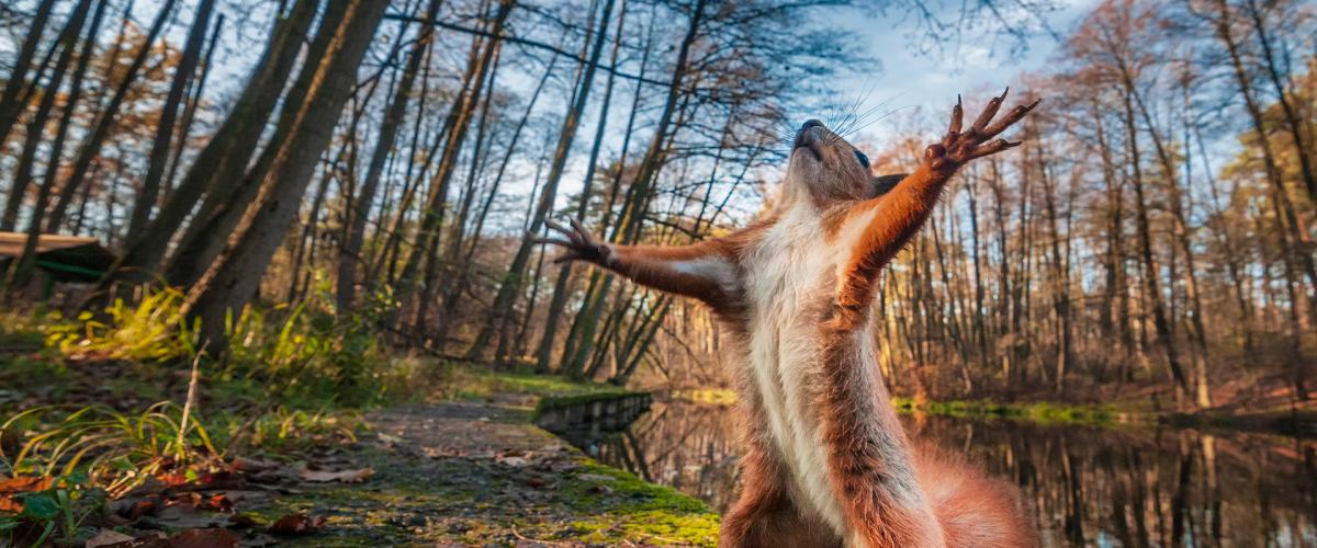 What Is Snipe Hunting? Find Out Here!